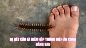 Tre Nở Hoa Là Điềm Gì Qua Góc Nhìn Dân Gian Và Khoa Học