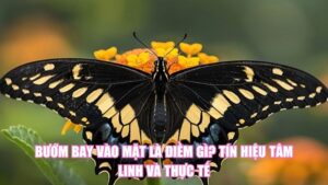 Bướm Bay Vào Mặt Là Điềm Gì? Tín Hiệu Tâm Linh Và Thực Tế