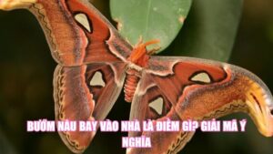 Cá Chết Là Điềm Gì? Giải Mã Góc Nhìn Phong Thủy, Khoa Học