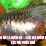 Cá Cảnh Đẻ Là Điềm Gì – Giải Mã Điềm Báo Tài Lộc Và Phúc Khí