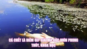 Bị Nhện Cắn Là Điềm Gì? Giải Mã Tín Hiệu Bí Ẩn Từ Tự Nhiên