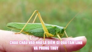 Ủi Quần Áo Bị Cháy Là Điềm Gì? Giải Mã Dấu Hiệu Bất Ngờ