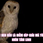 Chim Heo Kêu Là Điềm Gì? Giải Mã Từ Góc Nhìn Tâm Linh