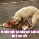Chó Bị Xe Cán Chết Là Điềm Gì? Giải Mã Từng Ẩn Ý Chi Tiết
