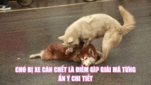 Cây Nha Đam Ra Hoa Là Điềm Gì? Giải Mã Bí Ẩn May Mắn