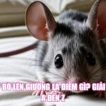 Chuột Bò Lên Giường Là Điềm Gì? Giải Mã Từ A Đến Z