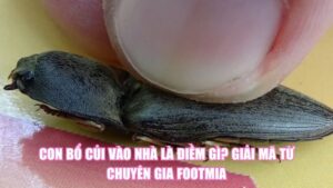 Tre Nở Hoa Là Điềm Gì Qua Góc Nhìn Dân Gian Và Khoa Học