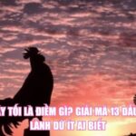 Gà Gáy Tối Là Điềm Gì? Giải Mã 13 Dấu Hiệu Lành Dữ Ít Ai Biết