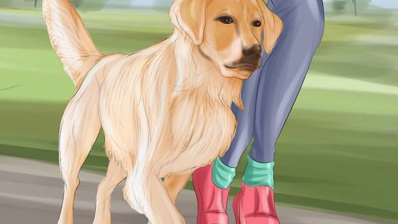 Giải mã chó đi theo là điềm gì?