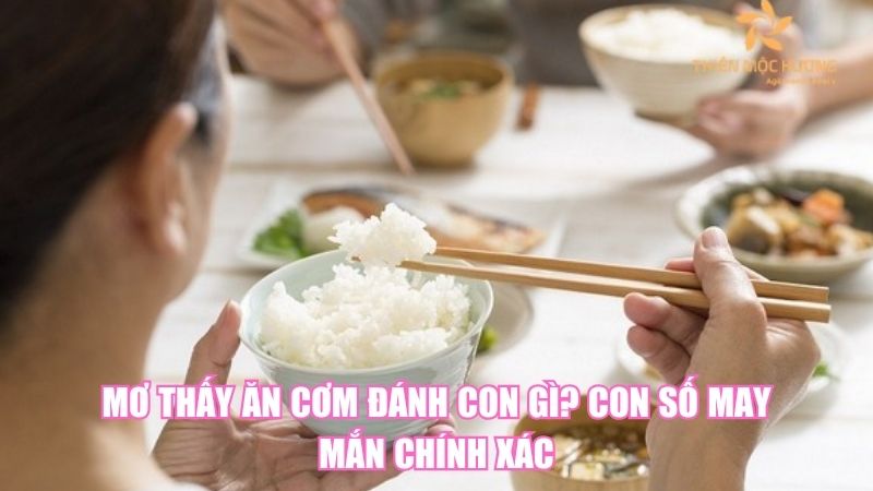 Mơ Thấy Ăn Cơm Đánh Con Gì? Con Số May Mắn Chính Xác