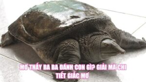 Mơ Thấy Chó Con Đánh Con Gì? Bật Mí Điềm Báo Giấc Mơ