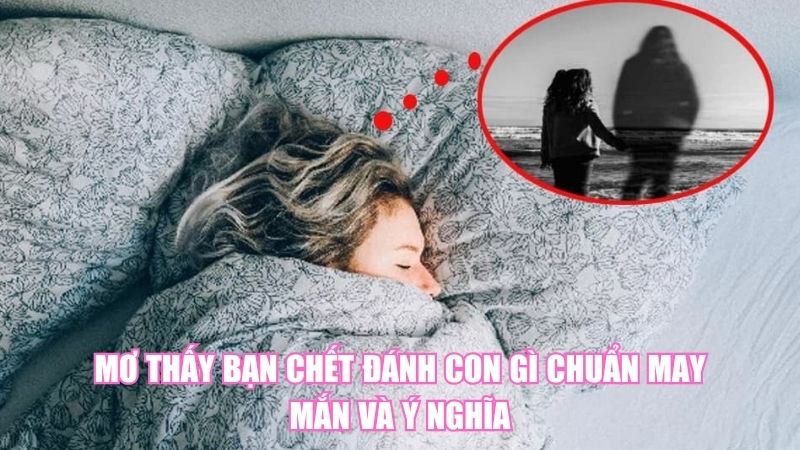 Mơ Thấy Bạn Chết Đánh Con Gì Chuẩn May Mắn Và Ý Nghĩa