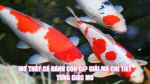 Mơ Thấy Có Bầu Đánh Con Gì? Luận Giải Điềm Báo Giấc Mơ