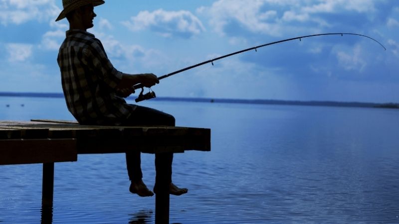 Mơ thấy câu cá đánh con gì? Bảng số chi tiết từng trường hợp