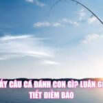 Mơ Thấy Câu Cá Đánh Con Gì? Luận Giải Chi Tiết Điềm Báo