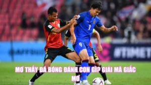 Mơ Thấy Chó Con Đánh Con Gì? Bật Mí Điềm Báo Giấc Mơ