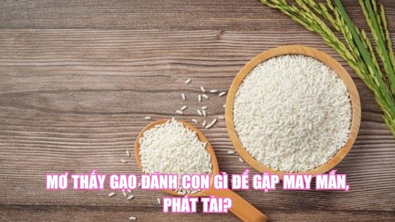 Mơ Thấy Gạo Đánh Con Gì Để Gặp May Mắn, Phát Tài?