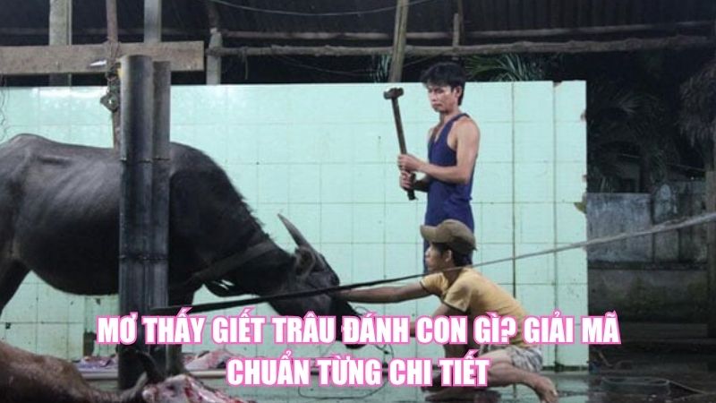 Mơ Thấy Giết Trâu Đánh Con Gì? Giải Mã Chuẩn Từng Chi Tiết