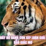 Mơ Thấy Hổ Đánh Con Gì? Luận Giải Điềm Báo Giấc Mơ