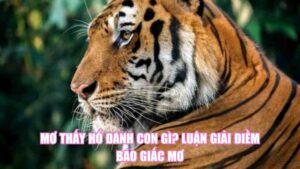 Mơ Thấy Chó Con Đánh Con Gì? Bật Mí Điềm Báo Giấc Mơ