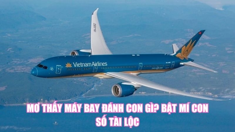 Mơ Thấy Máy Bay Đánh Con Gì? Bật Mí Con Số Tài Lộc