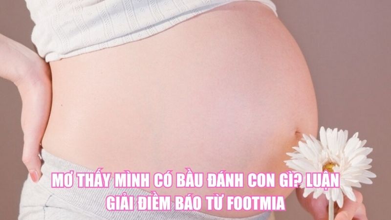 Mơ Thấy Mình Có Bầu Đánh Con Gì? Luận Giải Điềm Báo Từ Footmia