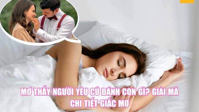 Mơ Thấy Người Yêu Cũ Đánh Con Gì? Giải Mã Chi Tiết Giấc Mơ