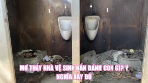 Mơ Thấy Gái Đánh Con Gì? Ý Nghĩa Của Giấc Mơ