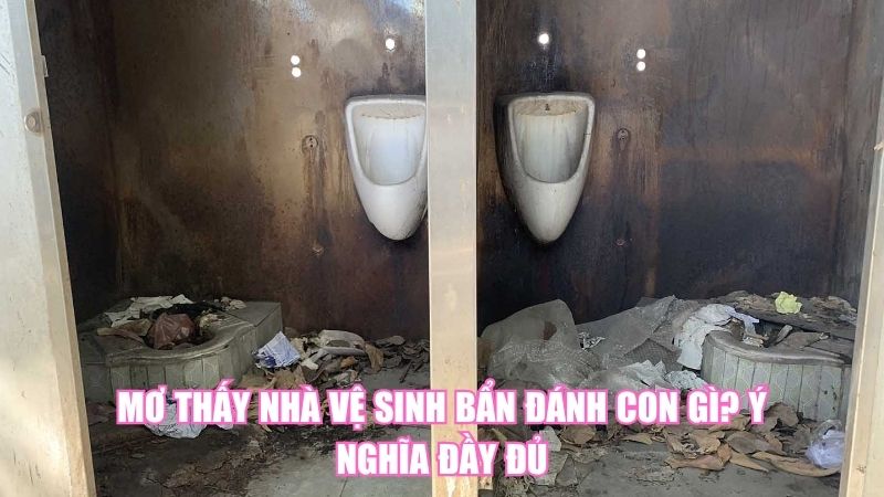 Mơ Thấy Nhà Vệ Sinh Bẩn Đánh Con Gì? Ý Nghĩa Đầy Đủ