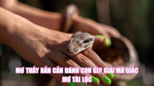 Nằm Mơ Thấy Cua Đánh Số Gì? Là Điềm May Hay Xui Rủi