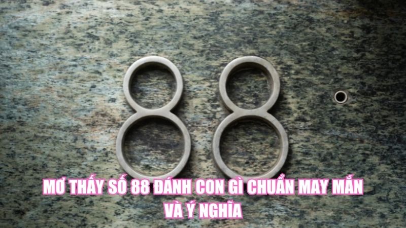 Mơ Thấy Số 88 Đánh Con Gì Chuẩn May Mắn Và Ý Nghĩa