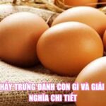 Mơ Thấy Trứng Đánh Con Gì Và Giải Mã Ý Nghĩa Chi Tiết