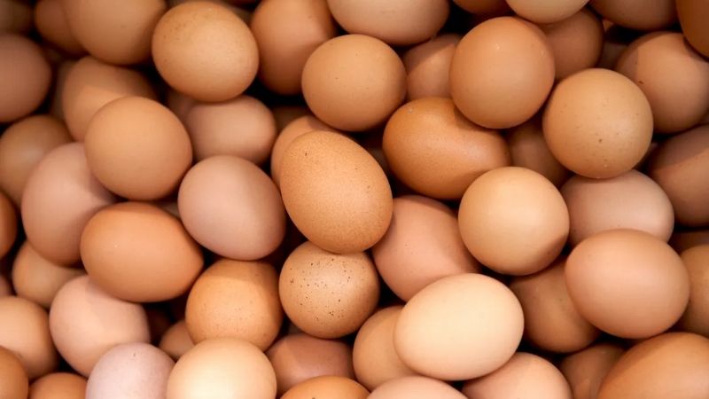 Mơ Thấy Trứng Đánh Con Gì?