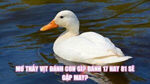 Mơ Thấy Có Bầu Đánh Con Gì? Luận Giải Điềm Báo Giấc Mơ