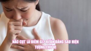 Mèo Tam Thể Vào Nhà Là Điềm Gì? Giải Mã Bí Ẩn May Mắn