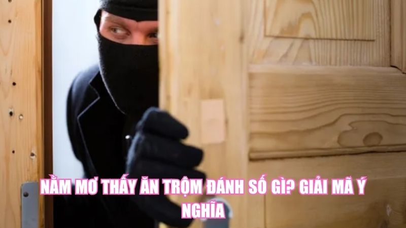 Nằm Mơ Thấy Ăn Trộm Đánh Số Gì? Giải Mã Ý Nghĩa