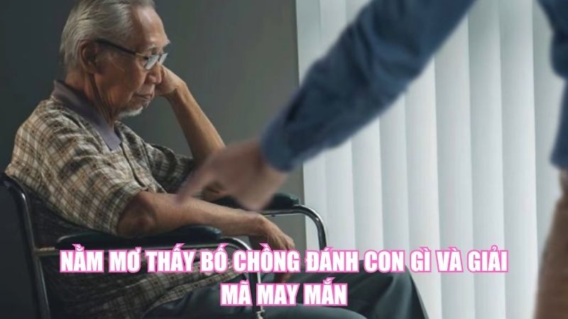 Nằm Mơ Thấy Bố Chồng Đánh Con Gì Và Giải Mã May Mắn