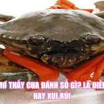Nằm Mơ Thấy Cua Đánh Số Gì? Là Điềm May Hay Xui Rủi