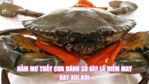 Nằm Mơ Thấy Chó Đuổi Cắn Đánh Con Gì? Giải Mã Chi Tiết