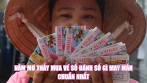 Nằm Mơ Thấy Cua Đánh Số Gì? Là Điềm May Hay Xui Rủi