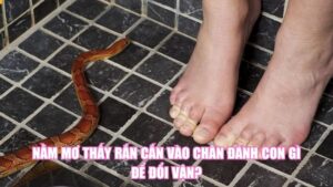 Mơ Thấy Có Bầu Đánh Con Gì? Luận Giải Điềm Báo Giấc Mơ