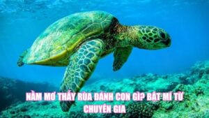 Mơ Thấy Gái Đánh Con Gì? Ý Nghĩa Của Giấc Mơ