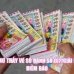 Nằm Mơ Thấy Vé Số Đánh Số Gì? Giải Nghĩa Điềm Báo