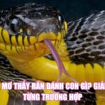 Ngủ Mơ Thấy Rắn Đánh Con Gì? Giải Mã Từng Trường Hợp