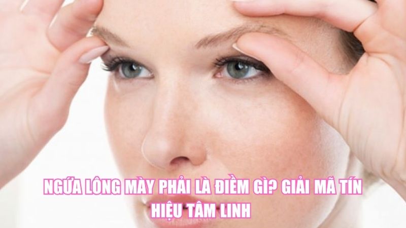 Ngứa Lông Mày Phải Là Điềm Gì? Giải Mã Tín Hiệu Tâm Linh