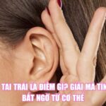 Ngứa Tai Trái Là Điềm Gì? Giải Mã Tín Hiệu Bất Ngờ Từ Cơ Thể