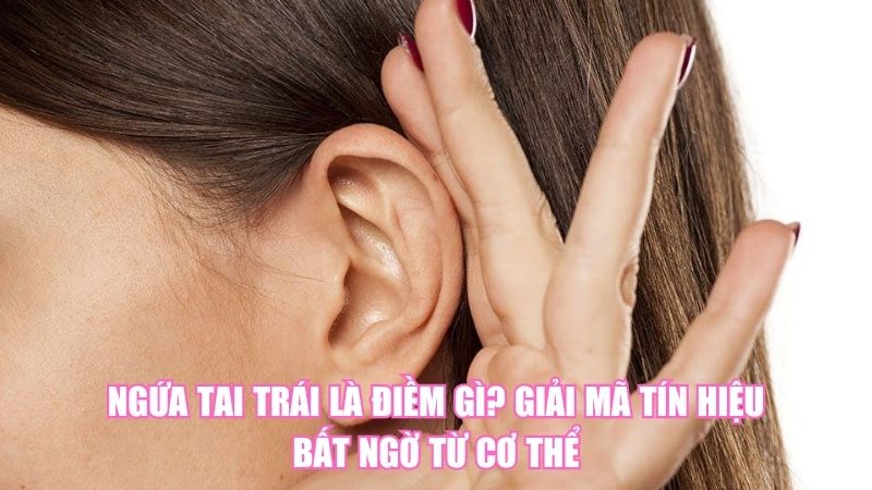 Ngứa Tai Trái Là Điềm Gì? Giải Mã Tín Hiệu Bất Ngờ Từ Cơ Thể