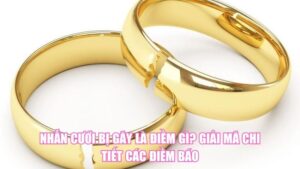 Bị Nhện Cắn Là Điềm Gì? Giải Mã Tín Hiệu Bí Ẩn Từ Tự Nhiên