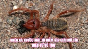 Cây Lưỡi Hổ Ra Hoa Là Điềm Gì? Giải Mã Bí Ẩn Về May Mắn