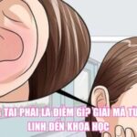 Nóng Tai Phải Là Điềm Gì? Giải Mã Từ Tâm Linh Đến Khoa Học